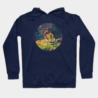 Lion lying in the sun Hoodie